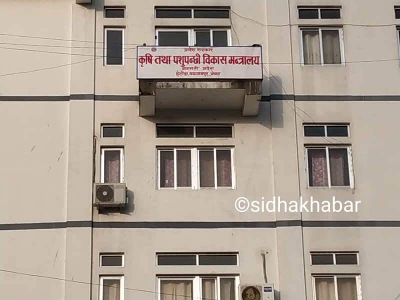 बागमती प्रदेशमा २२ वटा पशु स्वास्थ्य क्लिनिक निर्माण